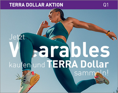 TERRA Dollar Q1 Aktion
